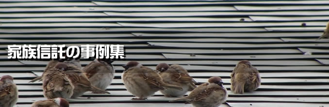 家族信託の事例